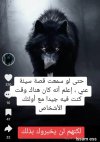 Screenshot_٢٠٢٤٠٣١٦-٠٦٣٥٢٥.jpg