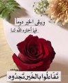 d5f49dea5d4afae26c9e520e3a2c0cf4.jpg
