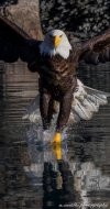IMG_8767.jpeg