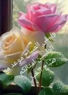 b42f15984c0187c6f2fd249c69f2cfef.jpg