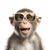 pngtree-funny-portrait-of-monkey-glasses-png-image_7088124.png