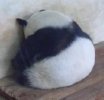 IMG_1139.jpeg