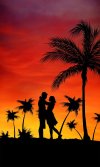 couple-beach-palms-love-holiday-romantic-grooms-sunset-sun.jpg couple-beach-palms-love-holiday-romantic-grooms-sunset-sun.jpg