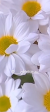 Screenshot_٢٠٢٤٠٥٠٨-١١٥٥٠٤.png