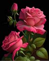 FB_IMG_1714055093232.jpg