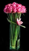 33c4794be51aae43f6bbd2d892d3fe33.jpg