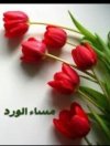 Screenshot_٢٠٢٤٠٥١٤-١٧٤٣٢٤_X.jpg