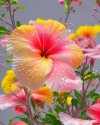477C5C1D-F779-4C83-ADB1-0BEC60FCCA40.jpeg