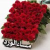 FB_IMG_1715703637556.jpg