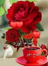 FB_IMG_1715679375003.jpg