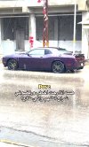 IMG_1233.jpeg