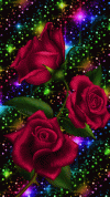 364f14b7_1599874195059.gif