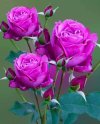 F73BC21C-2D13-4CAC-BBEC-5CA37ECE63ED.jpeg