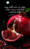 Screenshot_٢٠٢٤٠٥٢٦_٠٦٠١٣١_WhatsApp.jpg