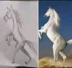 Screenshot_٢٠٢٤-٠٥-٢٥-٢١-٤١-٠٤-٦٤٠_com.facebook.katana-edit.jpg