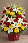 IMG_20240527_090350.jpg