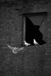 IMG_0103.jpeg
