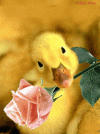 1717000905627.gif