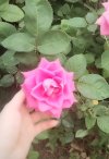 Screenshot_٢٠٢٤-٠٥-١٧-١٠-٤١-٠٧-٥٩٤_com.instagram.android-edit.jpg