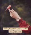 Screenshot_٢٠٢٤-٠٥-٢٦-١٠-٣٥-٢٩-١٤١_com.instagram.android-edit.jpg