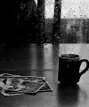 IMG_8067.jpeg