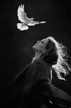 fb34aca9c1dcd881c05afad37bd1abd9.md.jpg