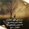 11FD9D65-6828-4B49-8B8B-DF30E79DDD42.jpeg