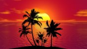 tropical-1651423_1280.jpg tropical-1651423_1280.jpg
