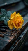 e2f977b18a75d7ee4d25bf8bdd8e30f0.jpg