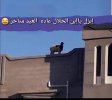 ٢٠٢٤٠٦١٥_٠٨٤٦١٨.jpg