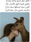 Screenshot_٢٠٢٤٠٦١٥-٢١٤٩٤٢_X.jpg