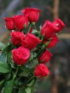 FB_IMG_1718529886573.jpg