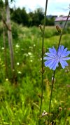 IMG_0412.jpeg