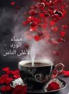 Screenshot_٢٠٢٤٠٦٢٣_١٨٢٨٤٦_Google.jpg