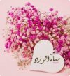 Screenshot_٢٠٢٤٠٦٢٤_١٦٤٢٥٨_Google.jpg