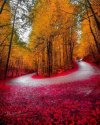 صور-خلفيات-2021-احلى-خلفية-طبيعية-2022.jpg
