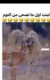 Screenshot_٢٠٢٤٠٥٢٨-٠٠٥٠٥٩_X.jpg