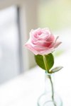 0c1a7acaa0fe9748205221b1a5cd9a8c.jpg