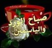 ٢٠٢٤٠٥٣٠_٠٩٣٣٠٢.jpg