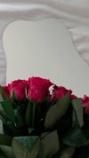 IMG_20240627_142614_997.jpg