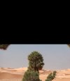 Screenshot_٢٠٢٤٠٦٣٠-١٠١٩٠٦_WhatsApp.jpg
