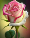 1719822262724.png