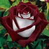 1719822552722.png