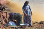 80260-حصاد-القمح-(38).jpg