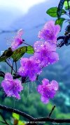 FB_IMG_1717412987543.jpg