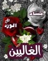 تنزيل-٣٧.jpeg