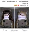 Screenshot_20240705_072544_Facebook.jpg