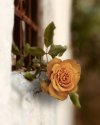 742d14d5ebad71be846eaba78519c694.jpg