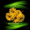FB_IMG_1720508314904.jpg