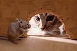 FB_IMG_1723556013056.jpg